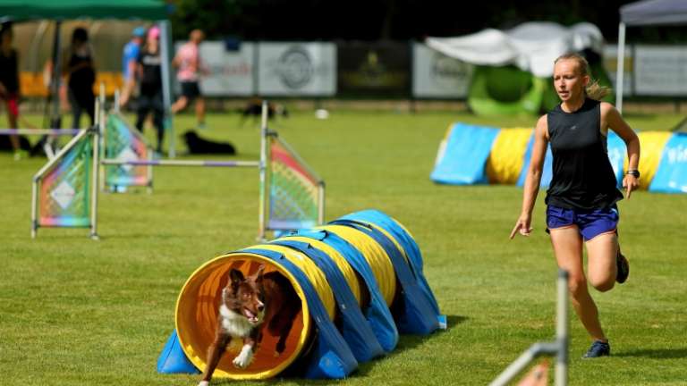 1720090275_cg_agility_2.jpg