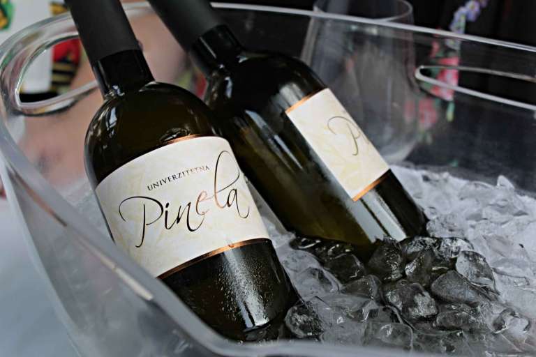 univerzitetna-vina_65cb361bdc9f7.jpg