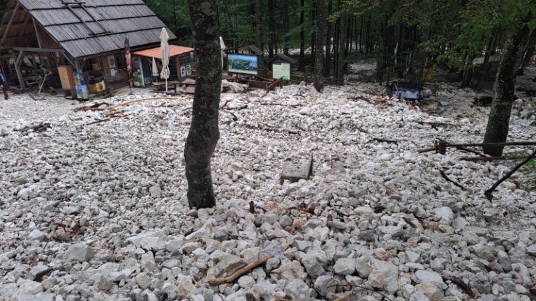 1721463540_krajinski_park_logarska.jpg