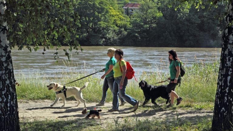1467031655_cg_pasji_park.jpg