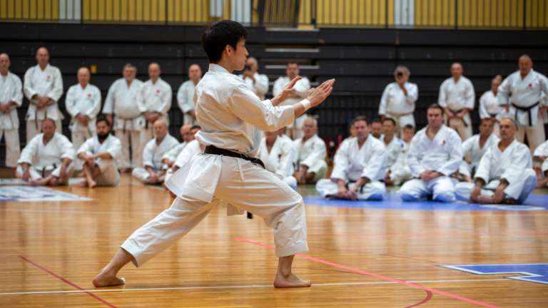 1716547102_shotokan1.jpg