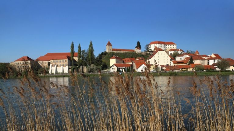 1478183420_cg_naslovnica_87_2.jpg