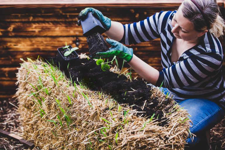 visoka greda na bali naslovna