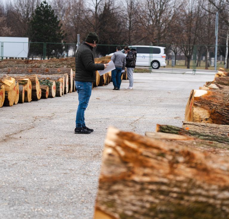 dražba, dražba-lesa, licitacija-lesa, gozdarstvo-gornja-radgona