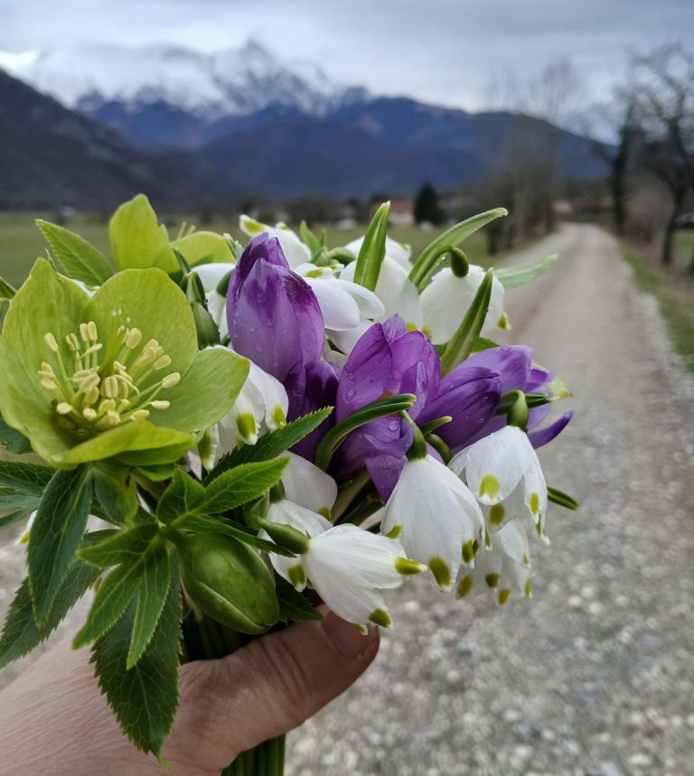 šopek 8a9d8fed-f1e3-4f94-ac32-7a4414357938.JPG