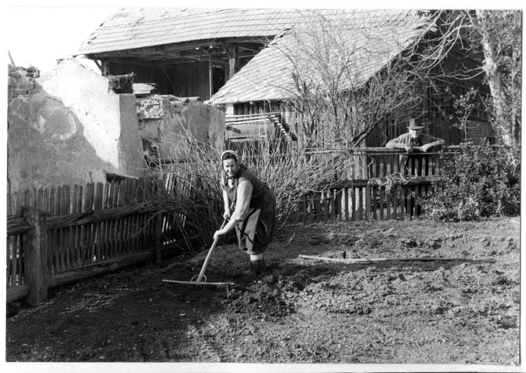 F 13447 Apat_Druzmirje_foto nn.jpg