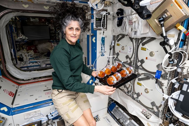 Sunita Williams