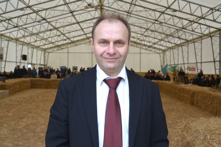 Andrej Kastelic, KGZ Novo mesto