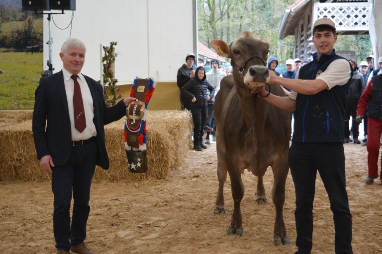 govedo-rjave-pasme, grm-novo-mesto-center-biotehnike-in-turizma