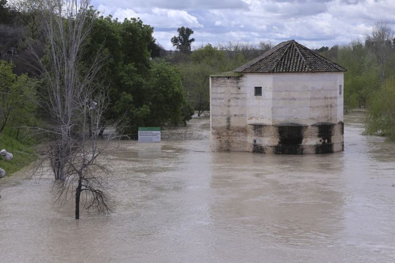 cordoba