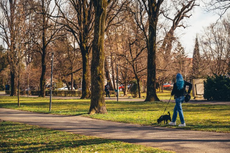 simbolična, mestni-park, soboški, pes, sprehajanje, psa