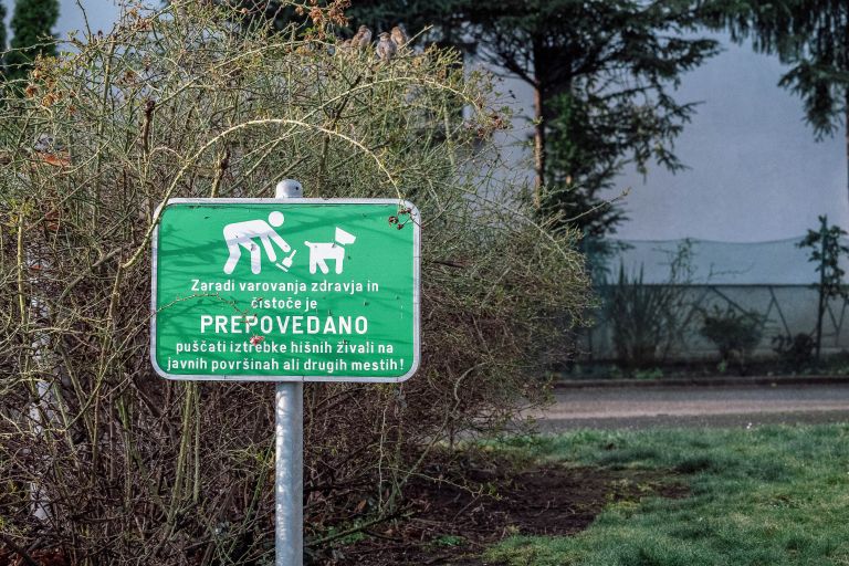 simbolična, mestni-park, soboški, pes, sprehajanje, psa