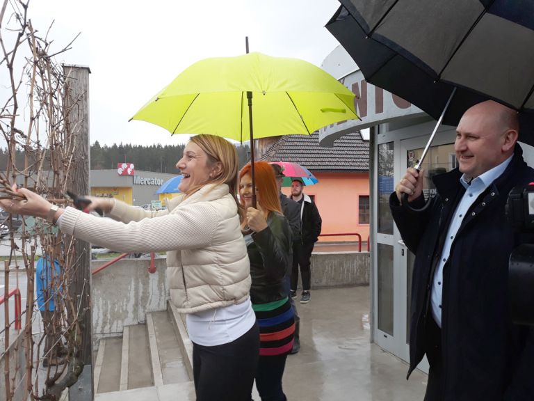 rez-trte-šmartno.jpg