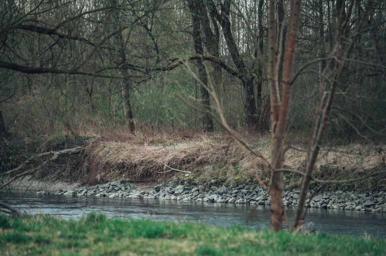 simbolična, reka-mura, voda, brežina, narava, obala