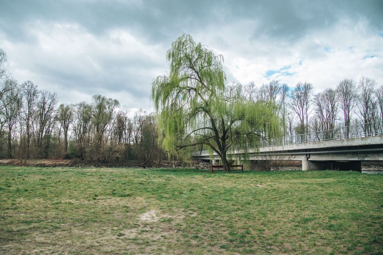 simbolična, reka-mura, voda, brežina, narava, obala