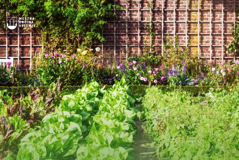 Oglas - vrtički, april 2025.jpg