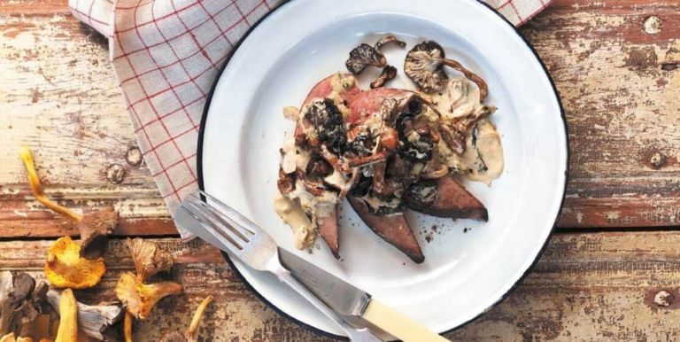 svinjska-jetra-z-gobovim-ragujem-e1538995889242_1115x560_acf_cropped