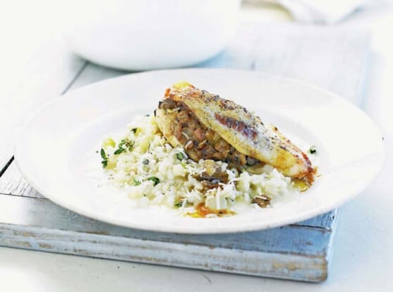 z-gobami-nadevan-piscanec-in-limonova-rizota_558x620_acf_cropped