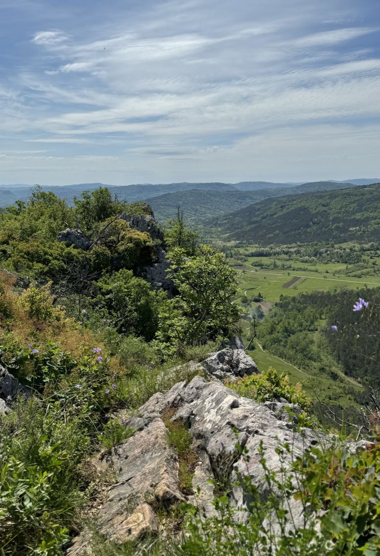 Veli Badin, ušesa Istre, istrska ušesa