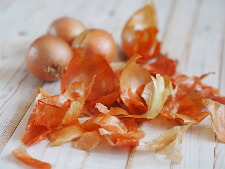 Čebulni olupki_Shutterstock.jpg