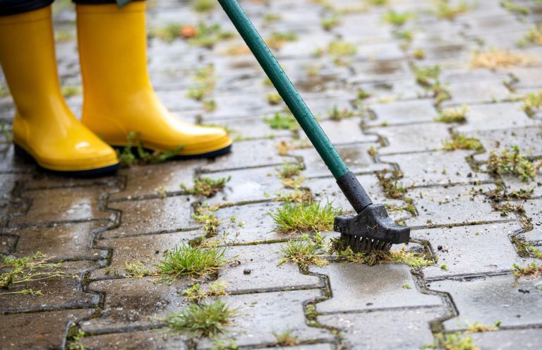 čiščenje, tlakovci, vrt