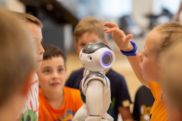 Festival robotike