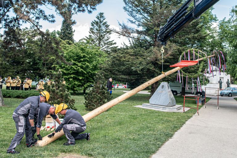postavitev-mlaja, postavitev-mlaja-v-murski-soboti