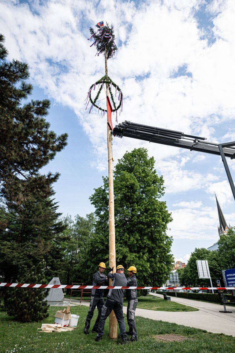 postavitev-mlaja, postavitev-mlaja-v-murski-soboti