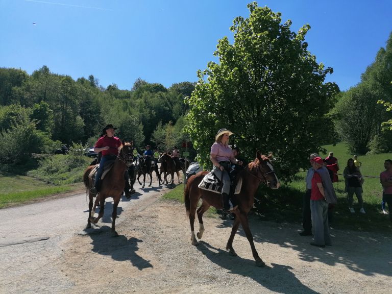 javorovica