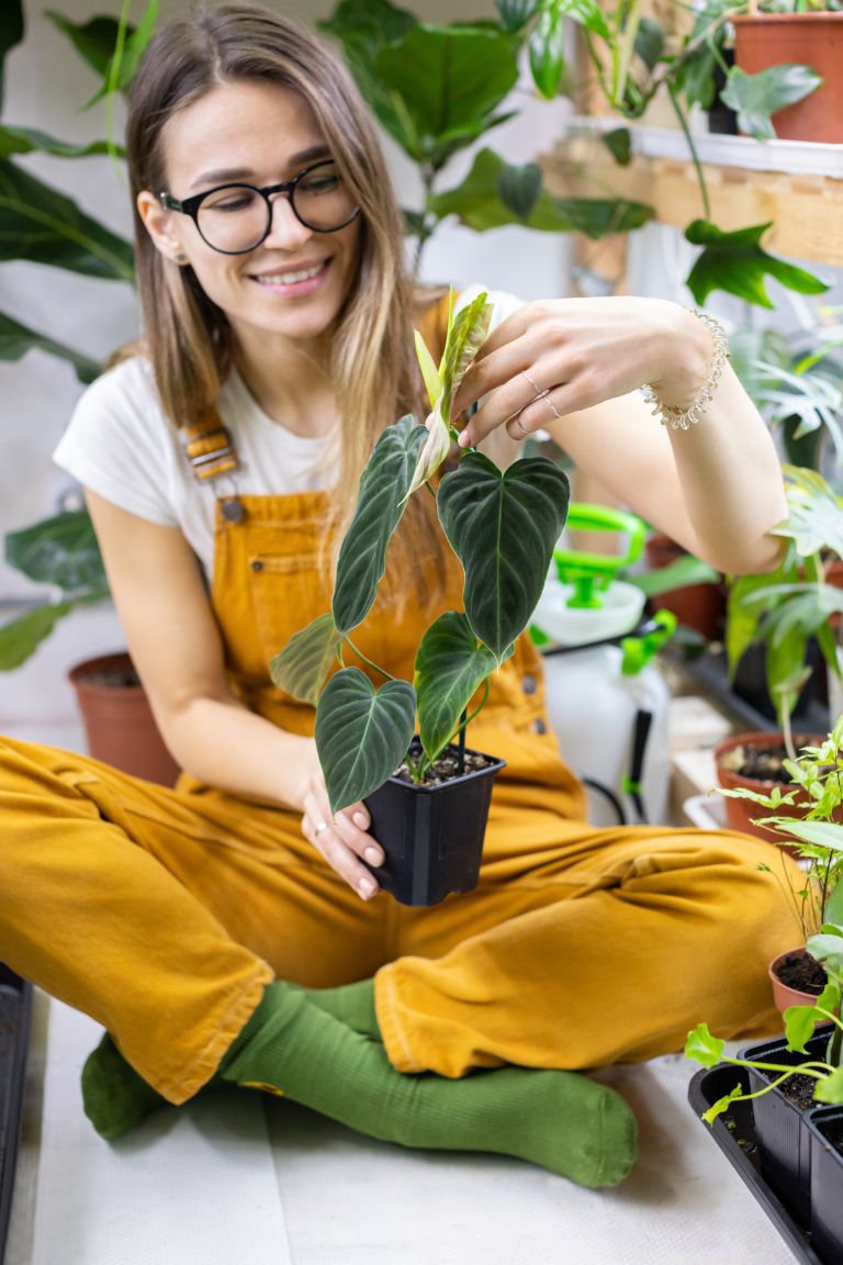 TM naslovna-dec21.jpg