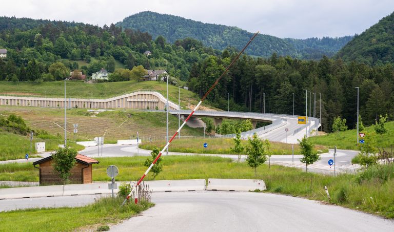 gabrke Saso Svigelj.jpg