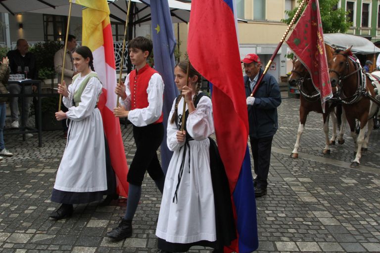 53-teden-cvicka, vinogradniska-povorka
