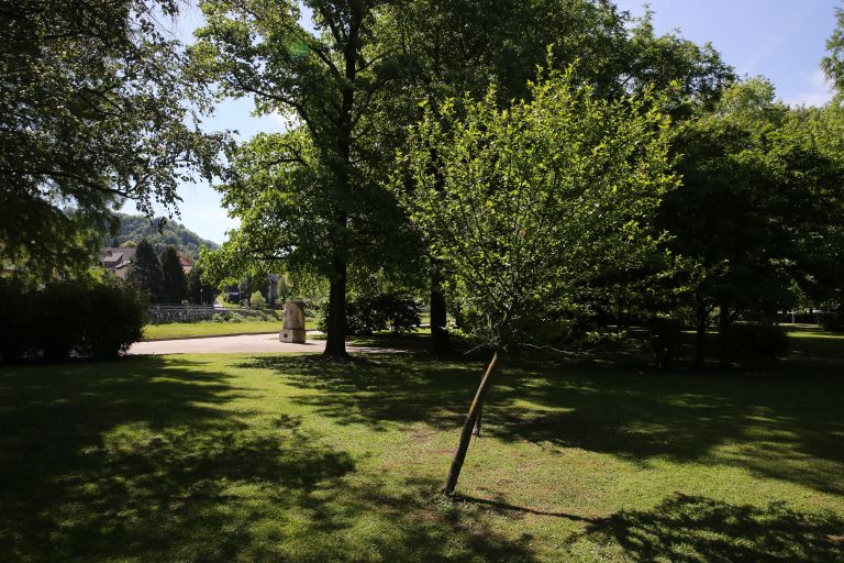 DL3U9917.jpg
