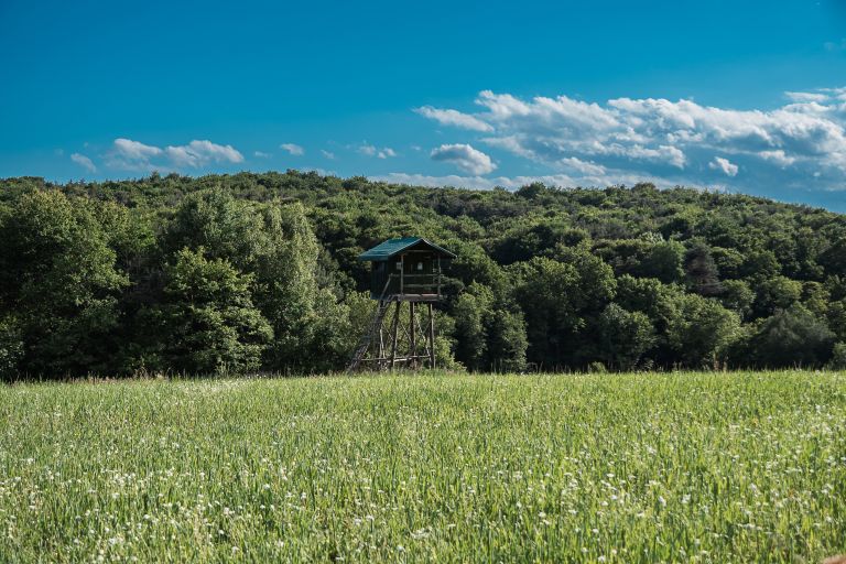 gorička-krajina, javni-zavod-krajinski-park-goričko, tematska-pot-cvetočih-travnikov
