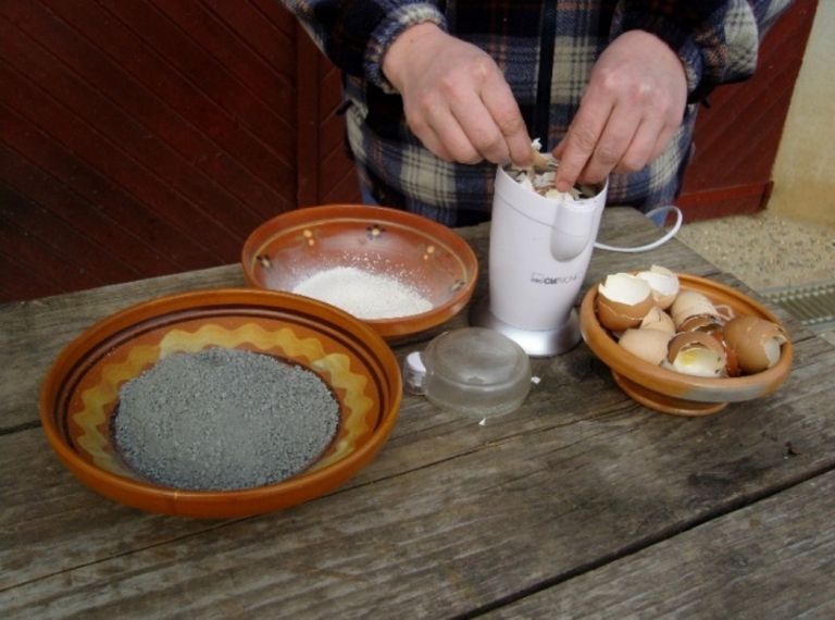 biodinamika13jun22.jpg