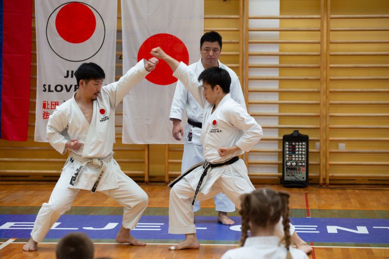 karate seminarcelje252.jpg