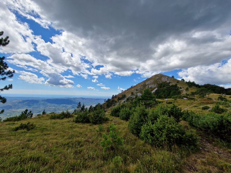 ceven, kucelj