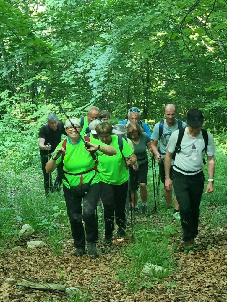 trdinova-pot, du-dolenjske-toplice