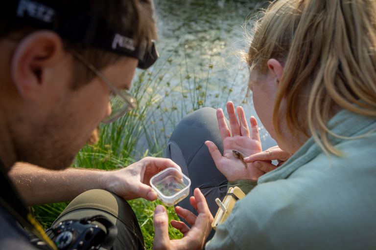 bioblitz, radenska, flora, favna