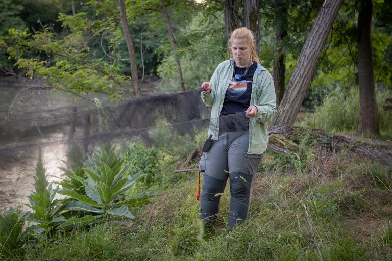 bioblitz, radenska, flora, favna