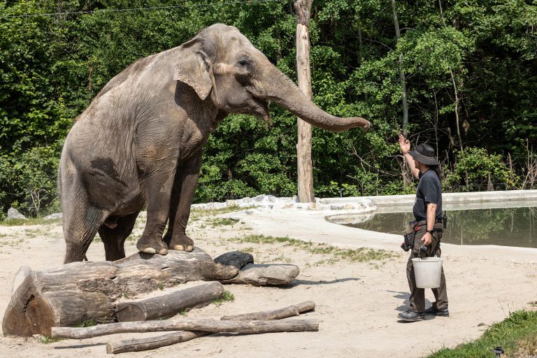 ganga-f-zare modlic.JPG