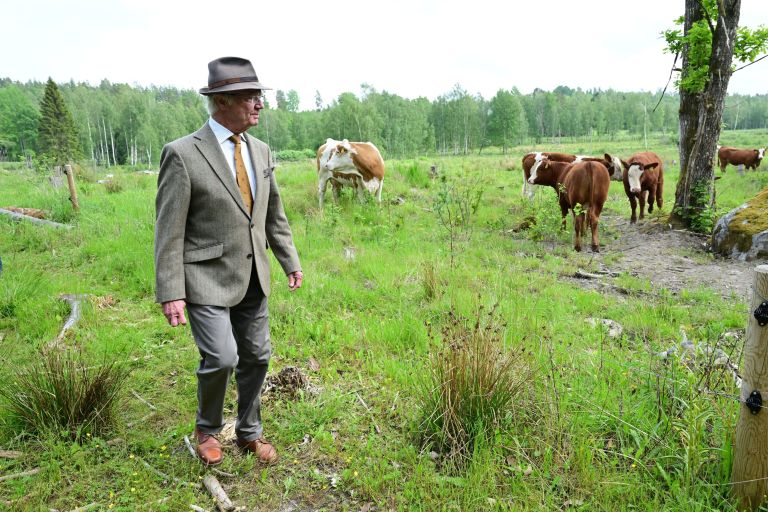 carl gustaf 1.jpg