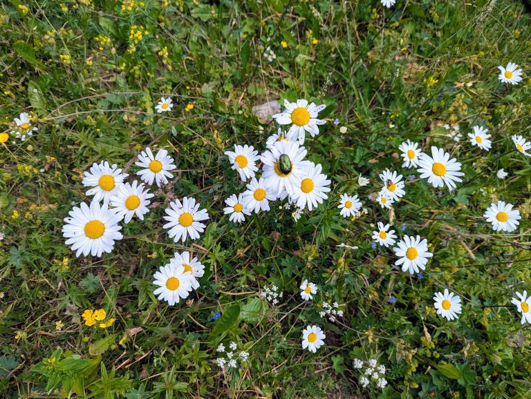 izlet, planinstvo