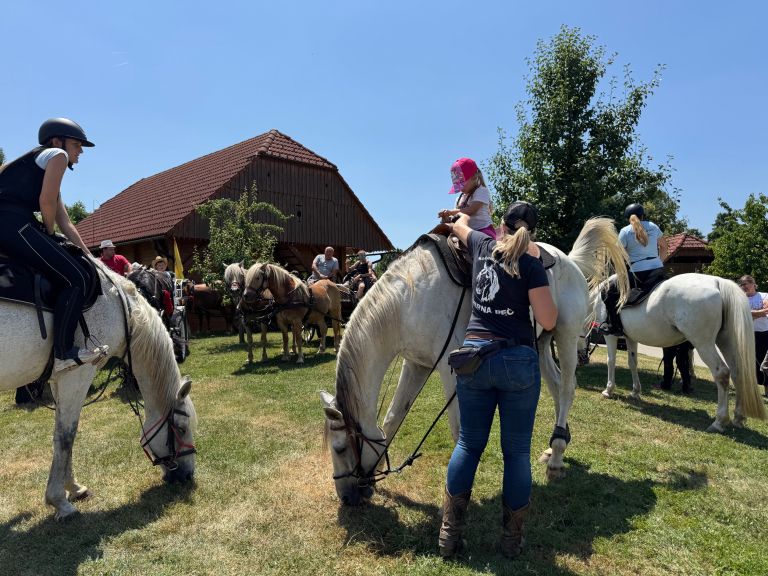 po-poti-slakove-in-pavckove-mladosti
