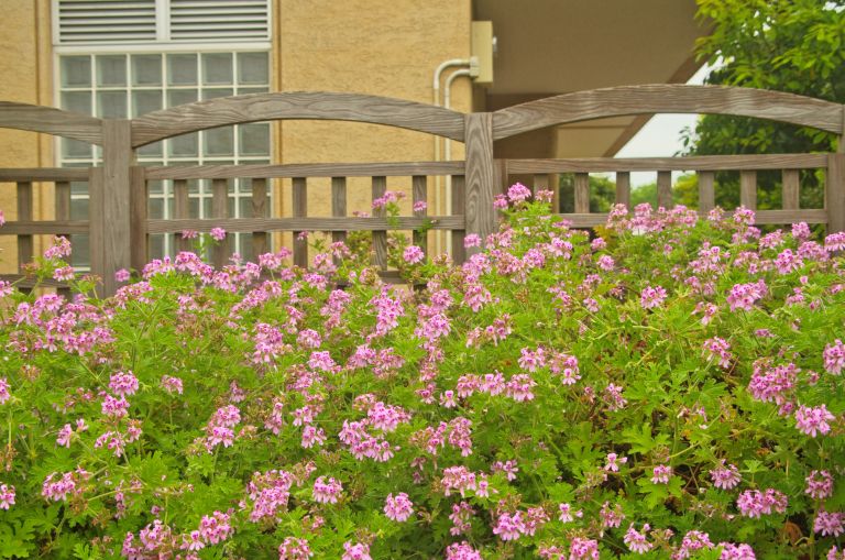 Aroma5-jul22.jpg