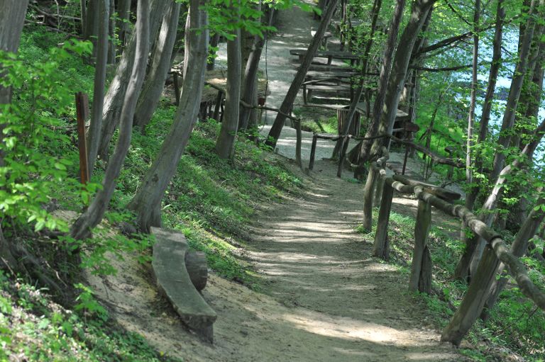 razkrižje, narava, sprostitev, gozd, 2017