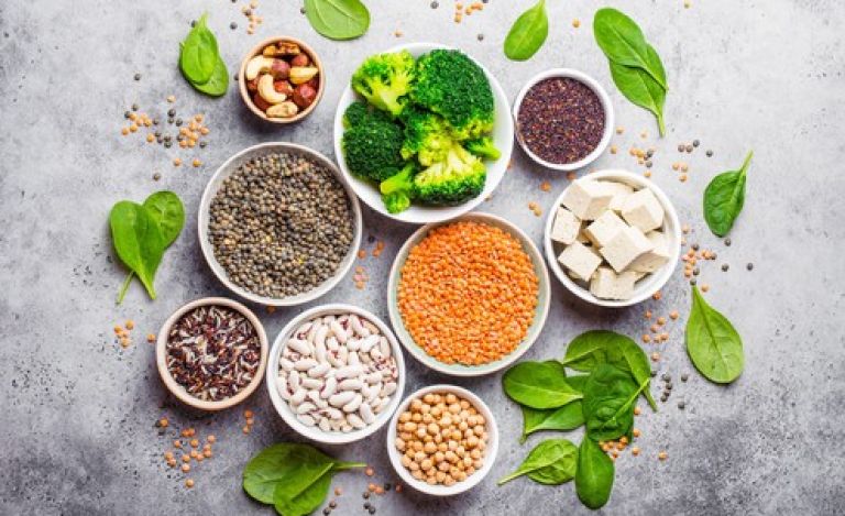 veganske beljakovine