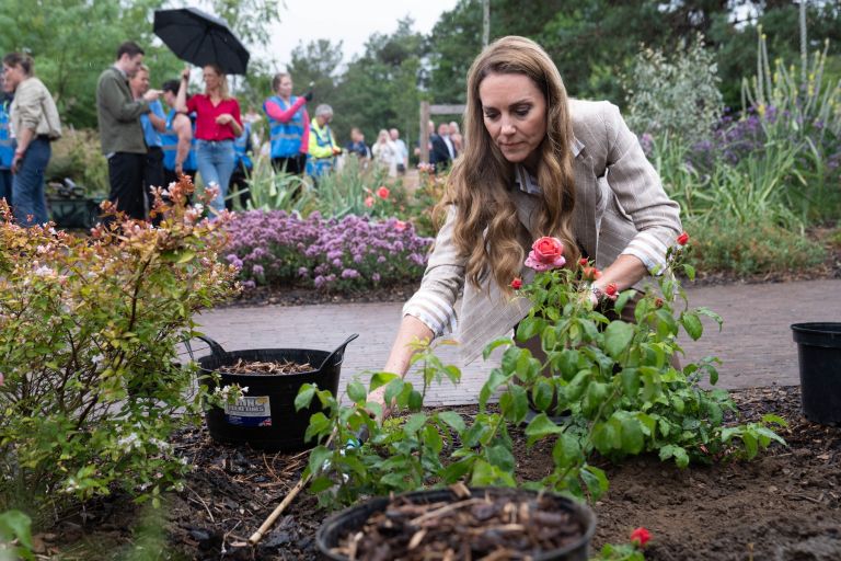 Kate Middleton, zdravljenje 3