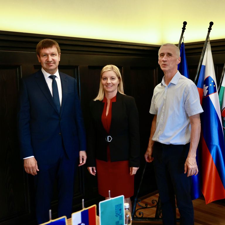 svet-savinjske-regije, projekti, nalozbe, bojana-stopinsek, branko-kidric