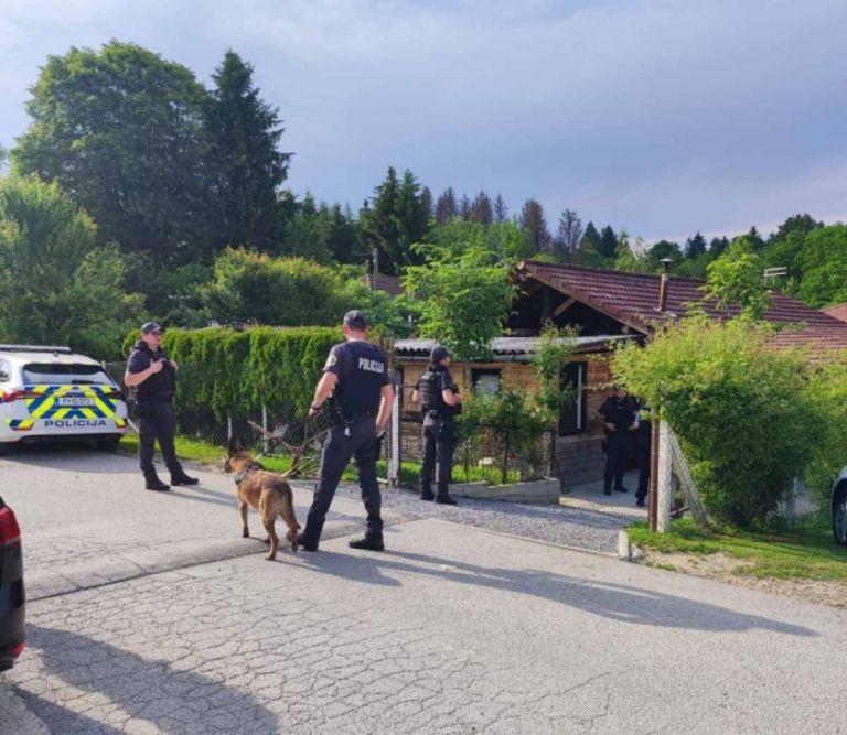 policija romi.jpg